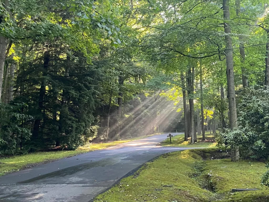 Way in the Wilderness Pilgrimage 