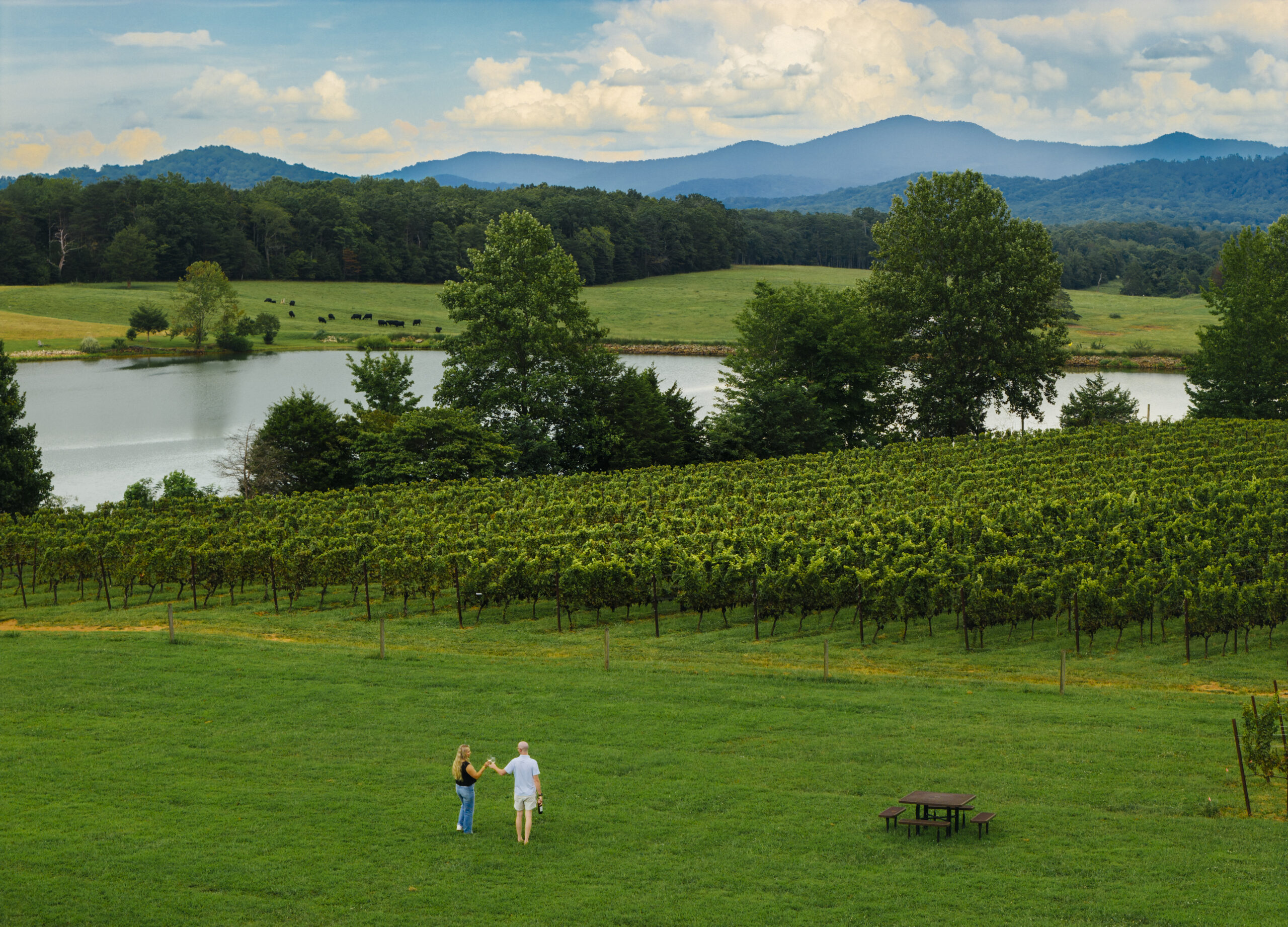 Couple enjoying a glass of wine in front of a vineyard in Nelson County